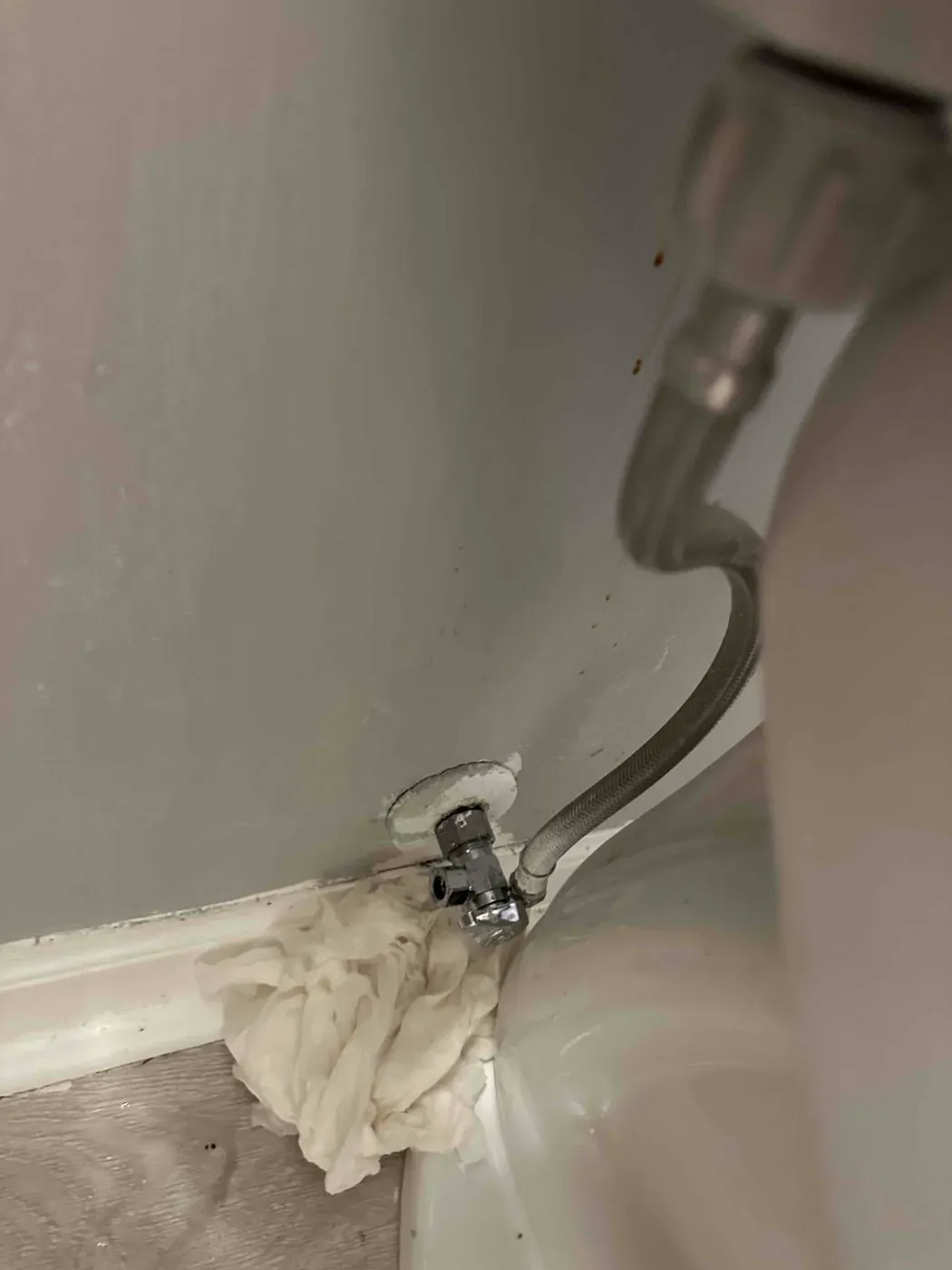 Job photo: replaced shut off valve in Bellevue